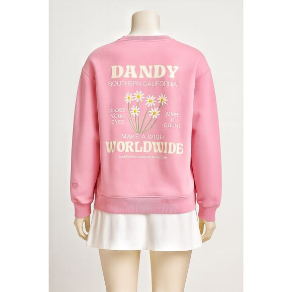 Pink Dandy Sweatshirt Size Small Daisy Embroidered Make a Wish Soft Girl - Picture 1 of 13